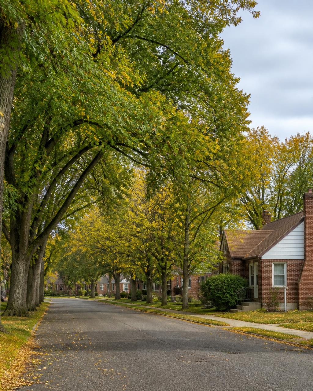 Tree-lined Windsor Locks neighborhood